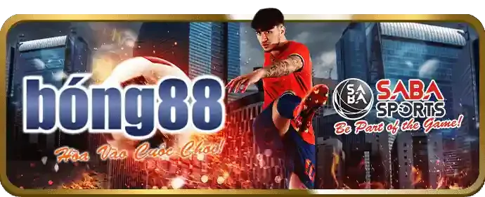 Trò chơi Đá Gà trực tuyến tại qh888 login